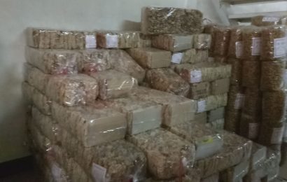 Grosir Snack Kiloan Jakarta 081514213907